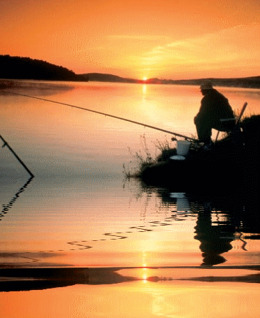 Вылов всех видов рыбы запрещается с 1 апреля по 30 мая за исключением любительского рыболовства