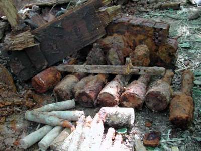 В Крупском районе обнаружены взрывоопасные боеприпасы времен ВОВ