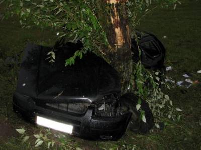 В Крупском районе Ford Escape врезался в дерево.Видео